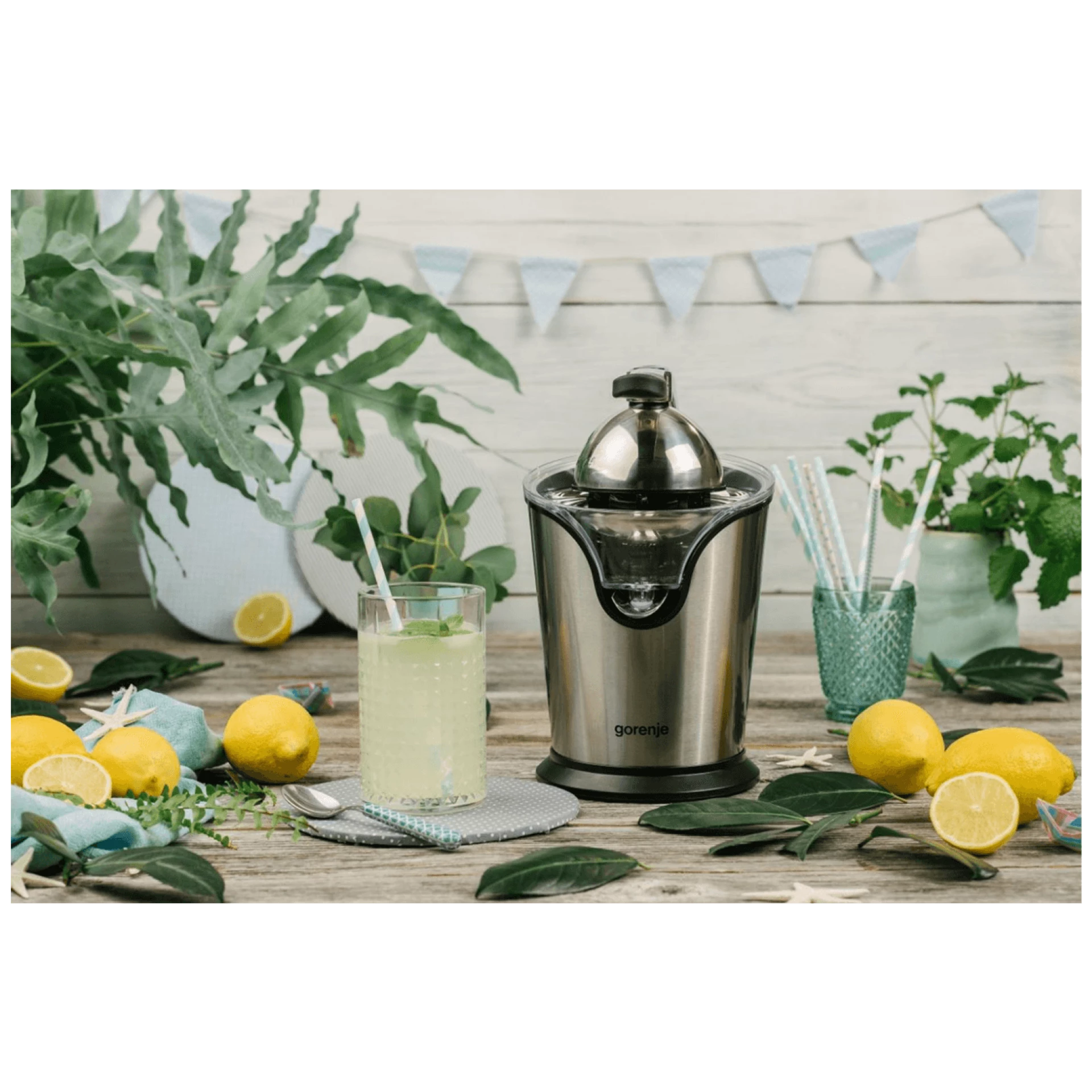 Gorenje Citruseta, 100 W - CJ100HE
