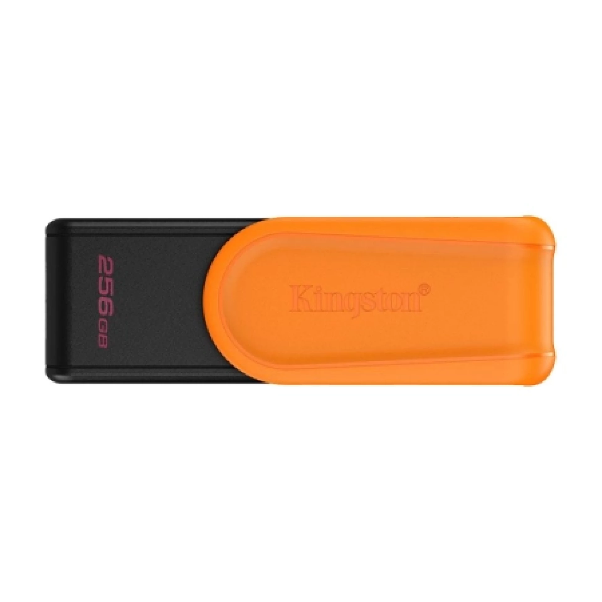 Kingston USB Memorija Exodia S DTXS/256GB