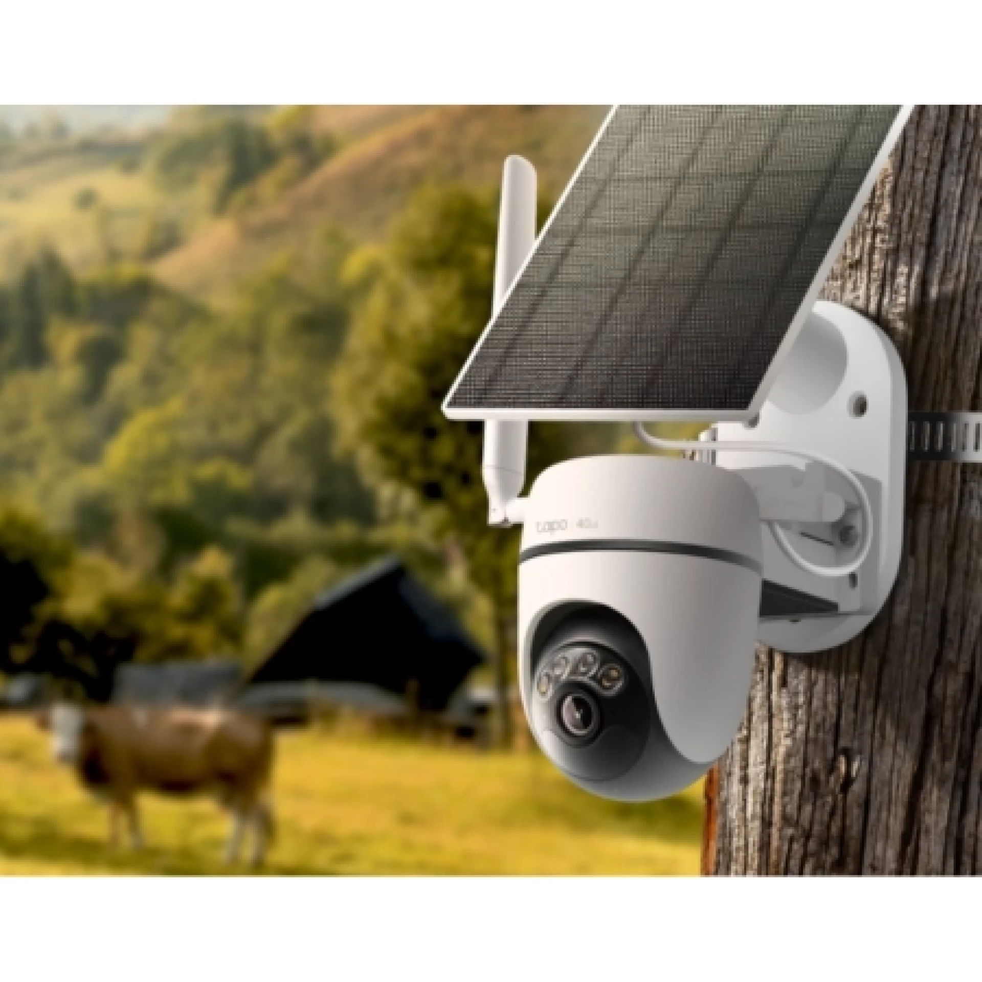 TP-Link Security Solar-Powered Pan/Tilt 4G LTE Camera Tapo C615G KIT