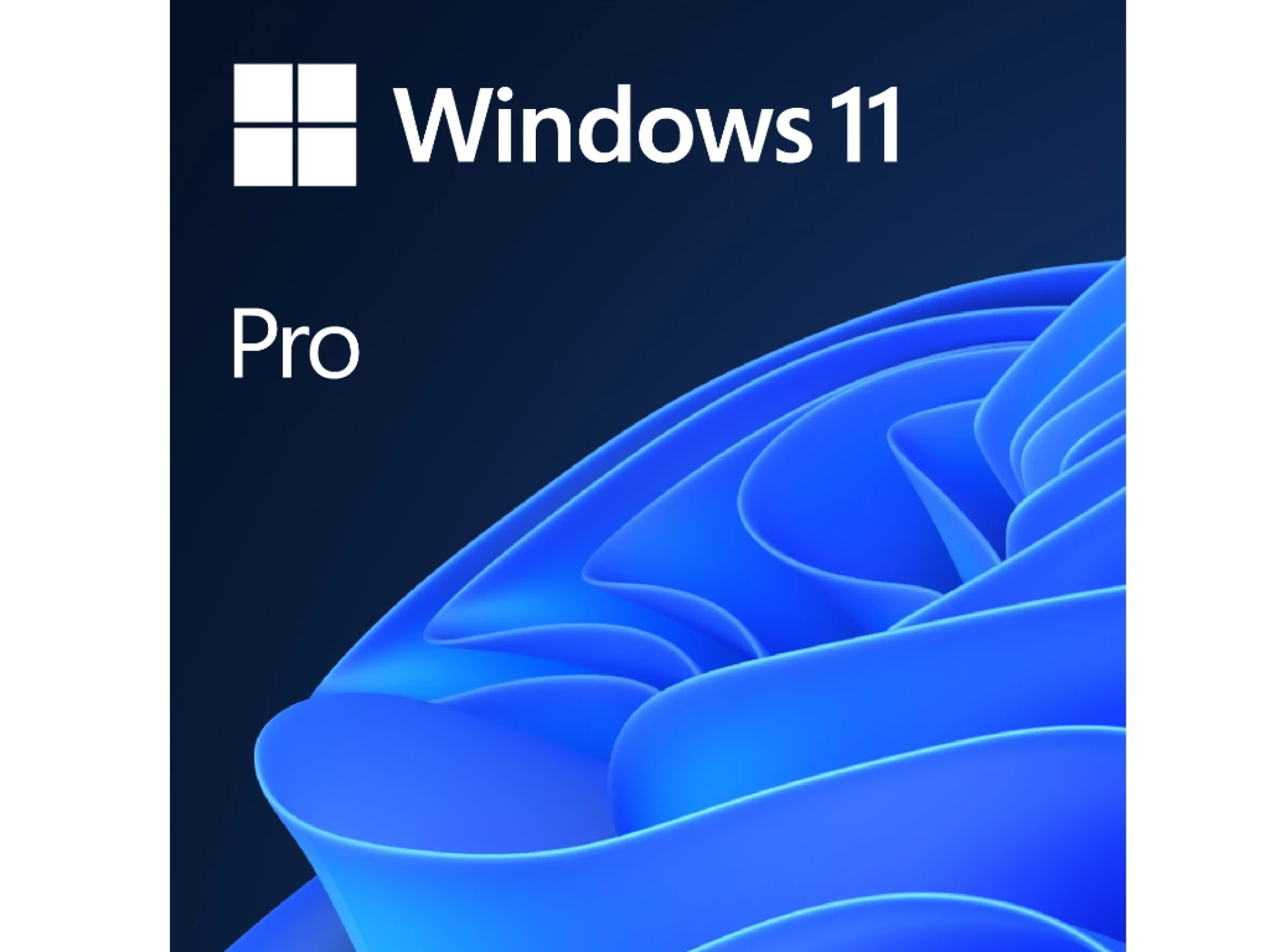 Windows 11 Pro 64bit OEM