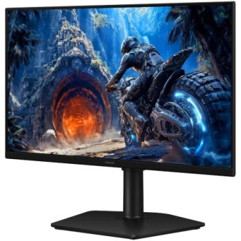 25" SAMSUNG LS25HG402EUXEN Odyssey G4 300Hz Display