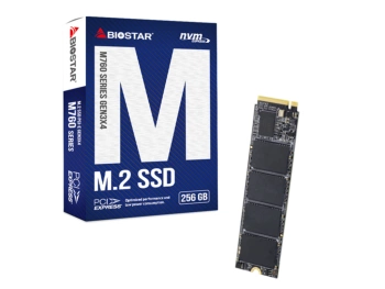 BIOSTAR 256GB SSD M.2, NVMe PCI-E Gen3x 4, 2280 M.2, R/W: 2800 MB/s 1150 MB/s