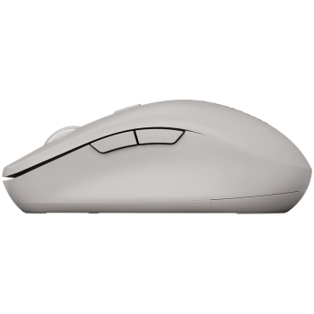 CANYON mouse MW-12 Dual band Wireless grey