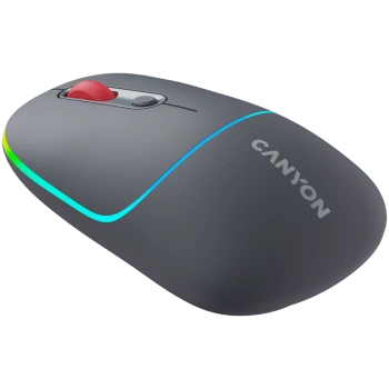 CANYON mouse MW-22 2in1 BT/ Wireless Dark Grey