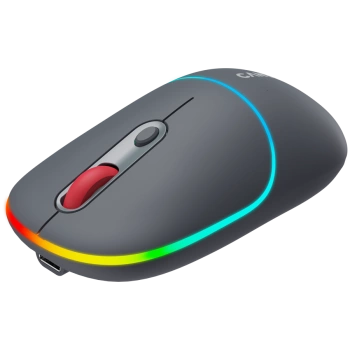 CANYON mouse MW-22 2in1 BT/ Wireless Dark Grey