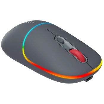 CANYON mouse MW-22 2in1 BT/ Wireless Dark Grey