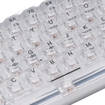 JITE Mehanicka Gaming Tastatura G-61 RGB Wireless Transparent