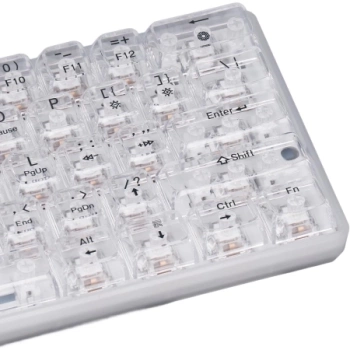 JITE Mehanicka Gaming Tastatura G-61 RGB Wireless Transparent