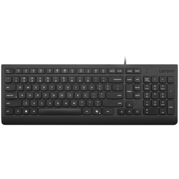 Lenovo Essential Wired Keyboard (Black) - US English 103P