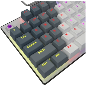 LORGAR Azar 514TKL, Wired RGB mechanical gaming keyboard, white, EN layout