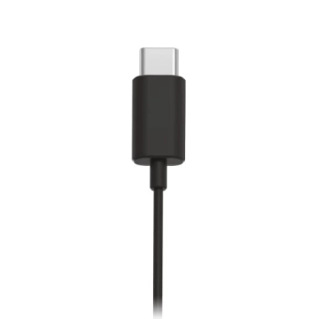 PHILIPS In-Ear Slušalice sa mikrofonom Type-C Music TAE5008BK Black